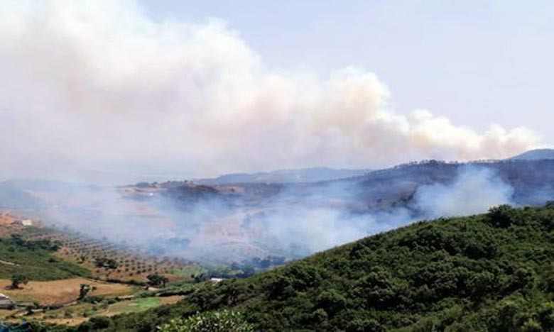  Un incendie de forêt circonscrit à Fnideq