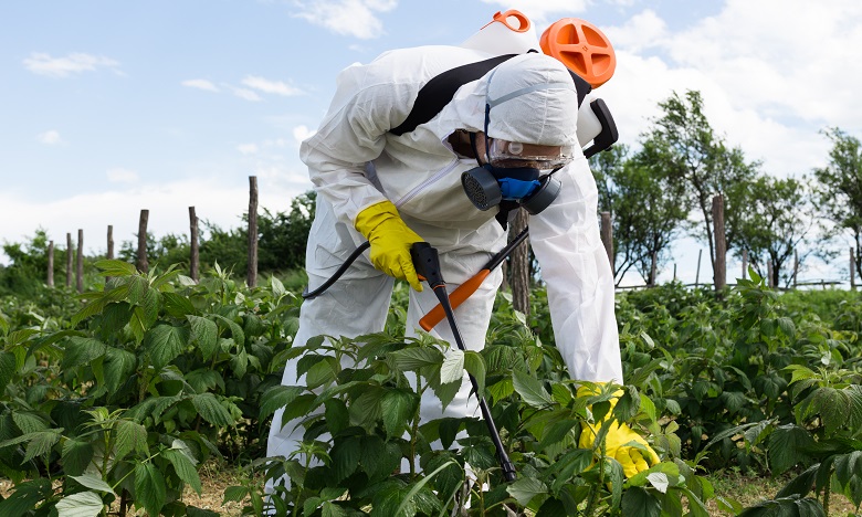 Des pesticides interdits dans l'UE seraient exportés au Maroc