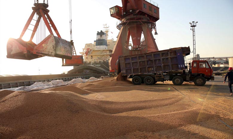 ANP: Hausse des importations des céréales de 51% à fin août 2020