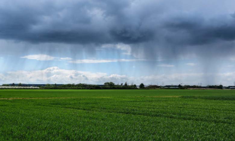 Agriculture : Une lueur d’espoir après les chutes de pluies et de neige
