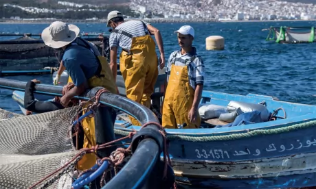 Pêche : Campagne de sensibilisation  à la sécurité maritime