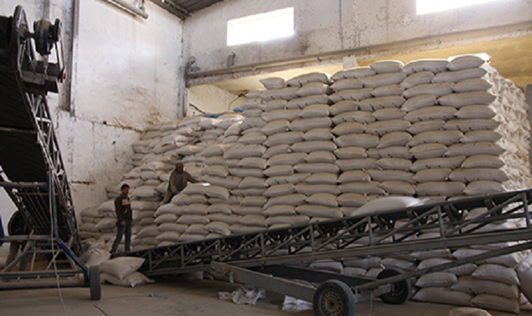 Béni Mellal-Khénifra : Une quantité de 693.825 quintaux d’orge subventionnée distribuée aux éleveurs