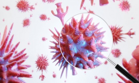 Nouvelle souche du coronavirus : L'Australie en état d'alerte  