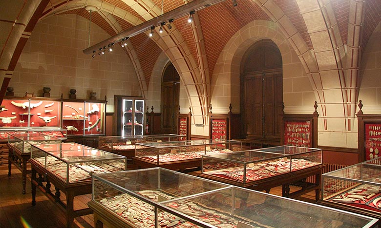 Covid-19: L'Unesco tire la sonnette d'alarme sur la situation des musées