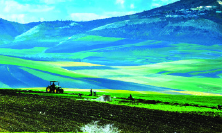 Agriculture Secteur Cl Pour La Relance De L conomie Marocaine Le 