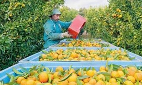 Présentation à Agadir  du nouveau plan régional agricole