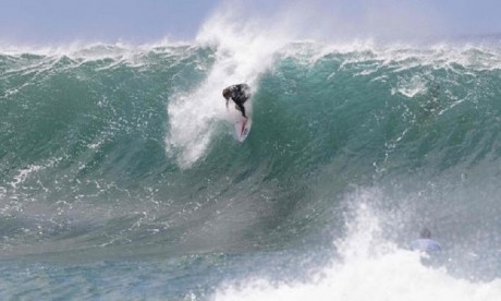 Australie : un surfeur décède après avoir été attaqué par un requin
