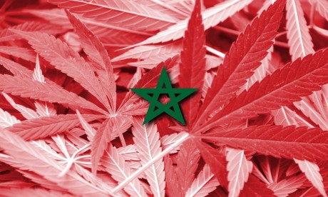 Cannabis médical: Les principaux points des études menées par le ministère de l'Intérieur
