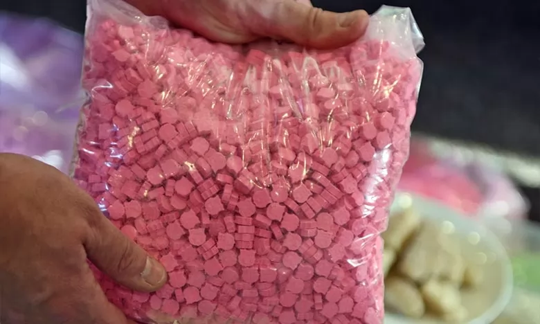 Les opérations de fouille ont permis la saisie d'une cargaison composée de 9.000 comprimés médicaux et de 1.891 autres de type «Ecstasy», en plus d'une somme d’argent soupçonnée provenir de cette activité criminelle. Ph : DR    