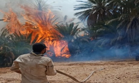 Oasis du Draa : Un immense incendie dévore plus de 5.000 palmiers