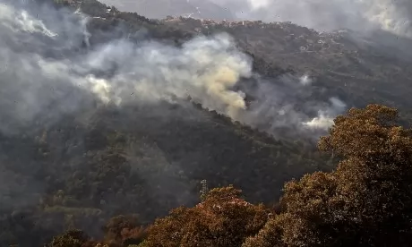 L'Algérie combat ses derniers feux de forêts, le bilan s'alourdit