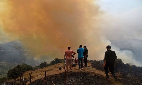 Algérie: 19 incendies encore actifs dans le nord algérien