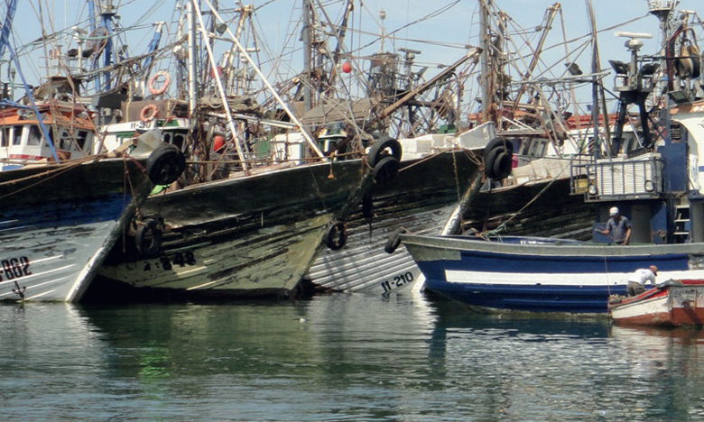 Les débarquements de la pêche côtière et artisanale baissent  en volume mais gagnent en valeur