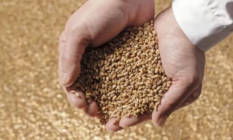 PLF 2022 : Gaz, sucre et blé tendre , ce que coûtera le soutien des prix à l’État