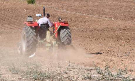 Agriculture : 34.690 ha  emblavés en céréales  à El Hajeb