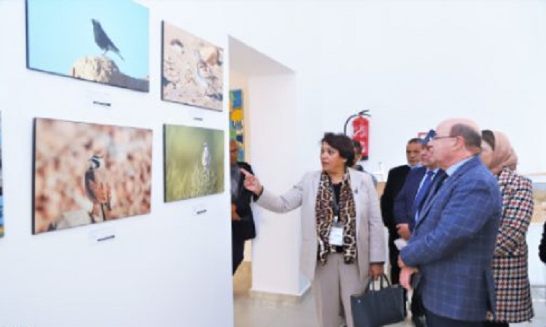 "Du Sahara marocain au Jbel Musa", une exposition photos qui met la biodiversité à l'honneur 