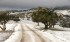 Alerte météo : Des chutes de neige de mercredi à vendredi dans plusieurs provinces