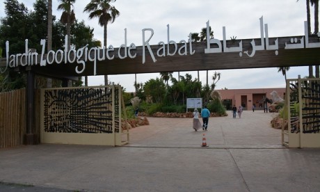 Le Jardin Zoologique National de Rabat fête son 10ème anniversaire
