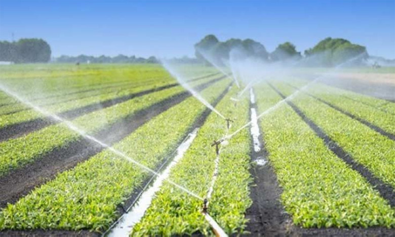 Irrigation : un aménagement hydroagricole de 5.400 ha en projet à Fès-Meknès