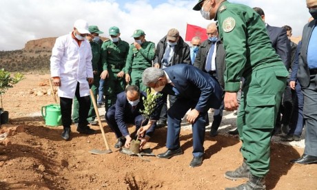 420 millions de dirhams pour la protection du capital végétal et animal dans l'Oriental 