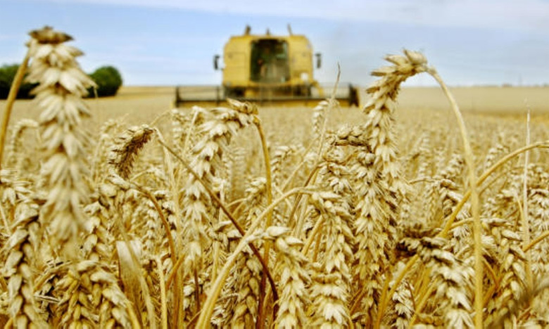 Moscou réduit les exportations de céréales vers les pays de l'Union économique eurasiatique