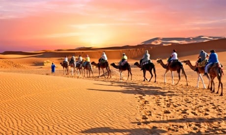 Le désert et particulièrement les oasis seront mis en avant dans les futurs programmes de promotion touristique.