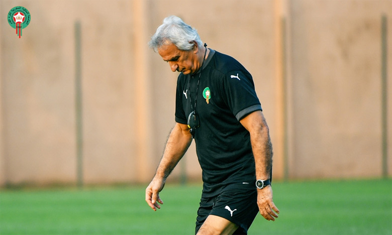 Vahid Halilhodzic : «L’Afrique gagnera la Coupe du monde, mais d’ici 10 à 12 ans»