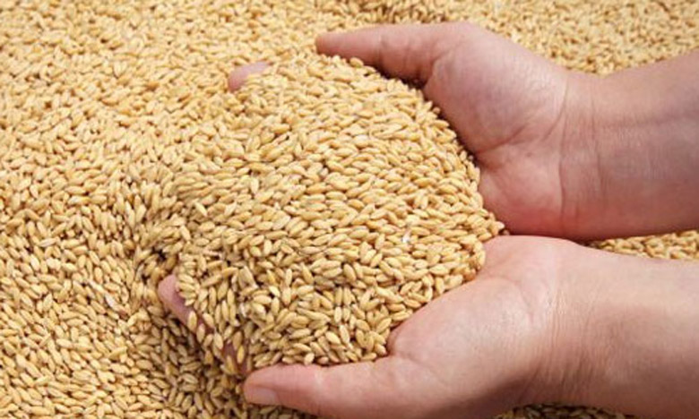 C’est parti pour la constitution d’un stock stratégique de blé tendre et dur