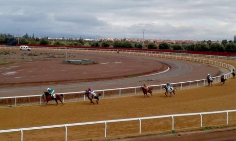 Marrakech accueille le Festival de Son Altesse Sheikh Mansoor Bin Zayed Al Nahyan des courses de chevaux Pur-sang Arabe