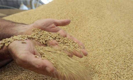 Stock de sécurité : 1,24 million de quintaux supplémentaire de blé tendre à fournir aux minoteries