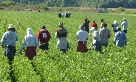 Généralisation de l’AMO au monde rural : le détail du dispositif d’accompagnement du Crédit Agricole du Maroc