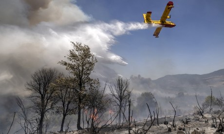 Tétouan : l'incendie de forêt de Bni Idder maîtrisé   