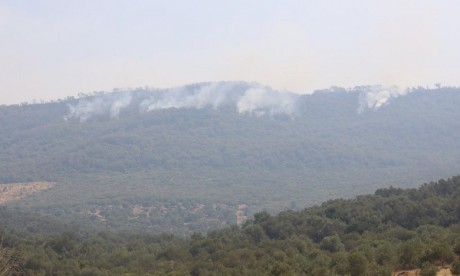 Chefchaouen: l'incendie "relativement" maîtrisé dans la zone forestière à Tassift et Talmbout