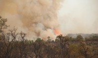 Feux de forêts à Larache : une personne mise en examen pour incendie involontaire (AFP)