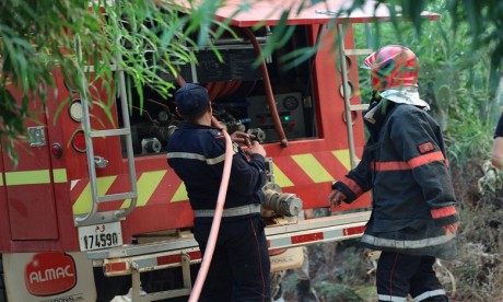 Incendie de la forêt "Kodiat Tifour" près de M'diq: une enquête judiciaire est ouverte 
