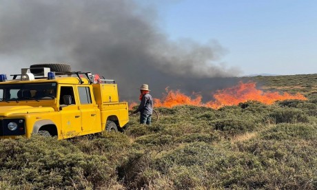 Ifrane : Près de 600 hectares de forêts ravagés par les feux, l'incendie est maitrisé