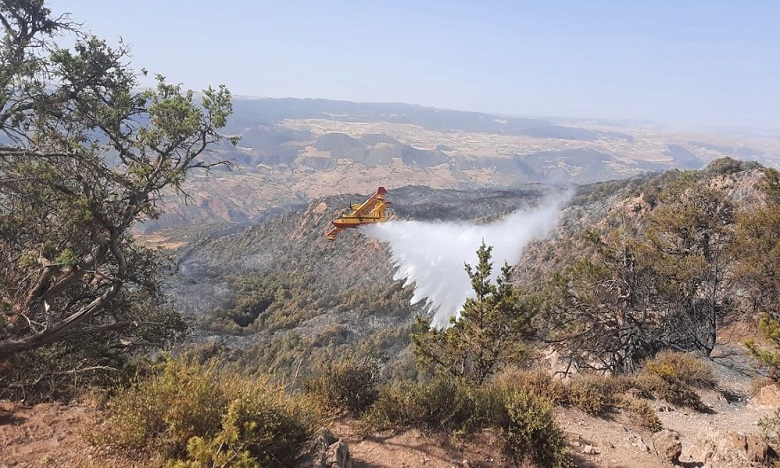 Feux de forêts : les incendies de "Jbal Ammar Teskart" et de "Bouidar" à Khénifra maîtrisés