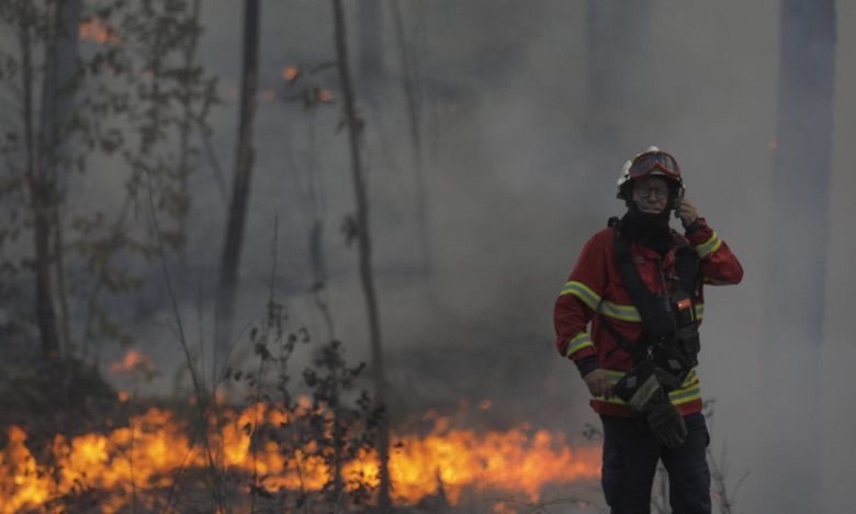 Portugal: plus de 100.000 hectares brûlés par les feux de forêt cette année