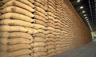Approvisionnement en céréales : la diversification des fournisseurs s’avère payante