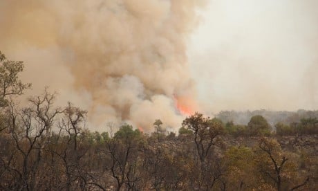 Khénifra : Nouveaux départs de feux dans les forêts de « Jbel Ammar Teskart » et « Bouidar »
