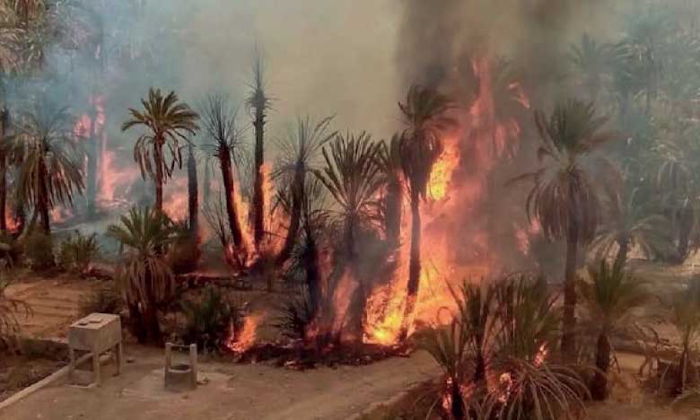 Province de Tata : les feux maitrisés dans une oasis à Tamanart