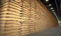 Le Maroc a importé 22 millions de quintaux de céréales entre juin et août (Sadiki)