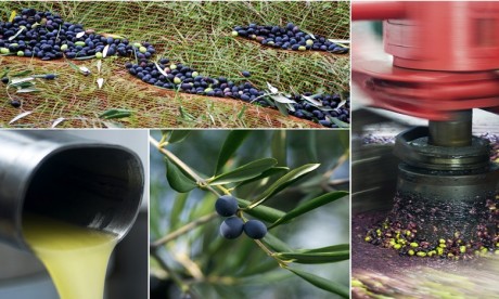 Huile d'olives : les exportations ont doublé à fin août  