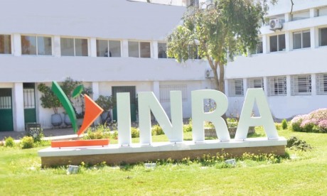 L'INRA s'associe à l'institut israélien Volcani pour développer la recherche agronomique