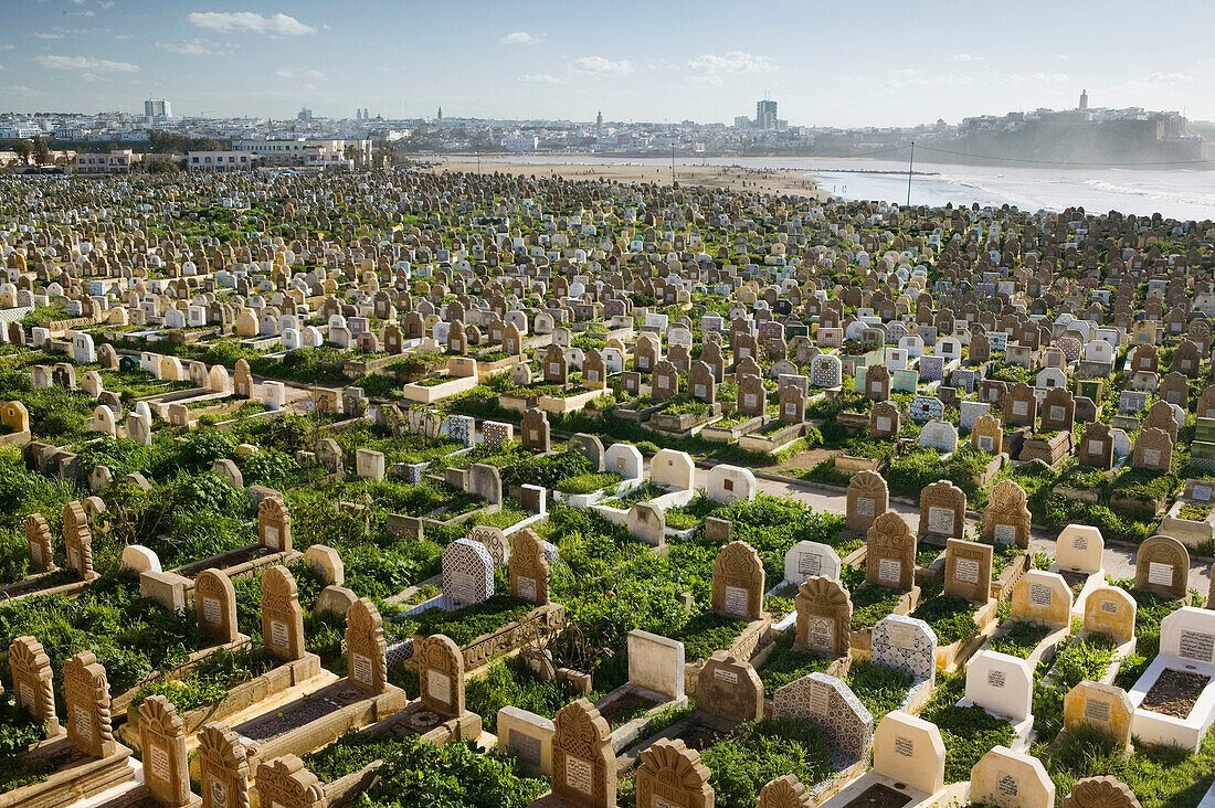 La création des cimetières nécessite entre 80 et 100 hectares par an (Toufiq)