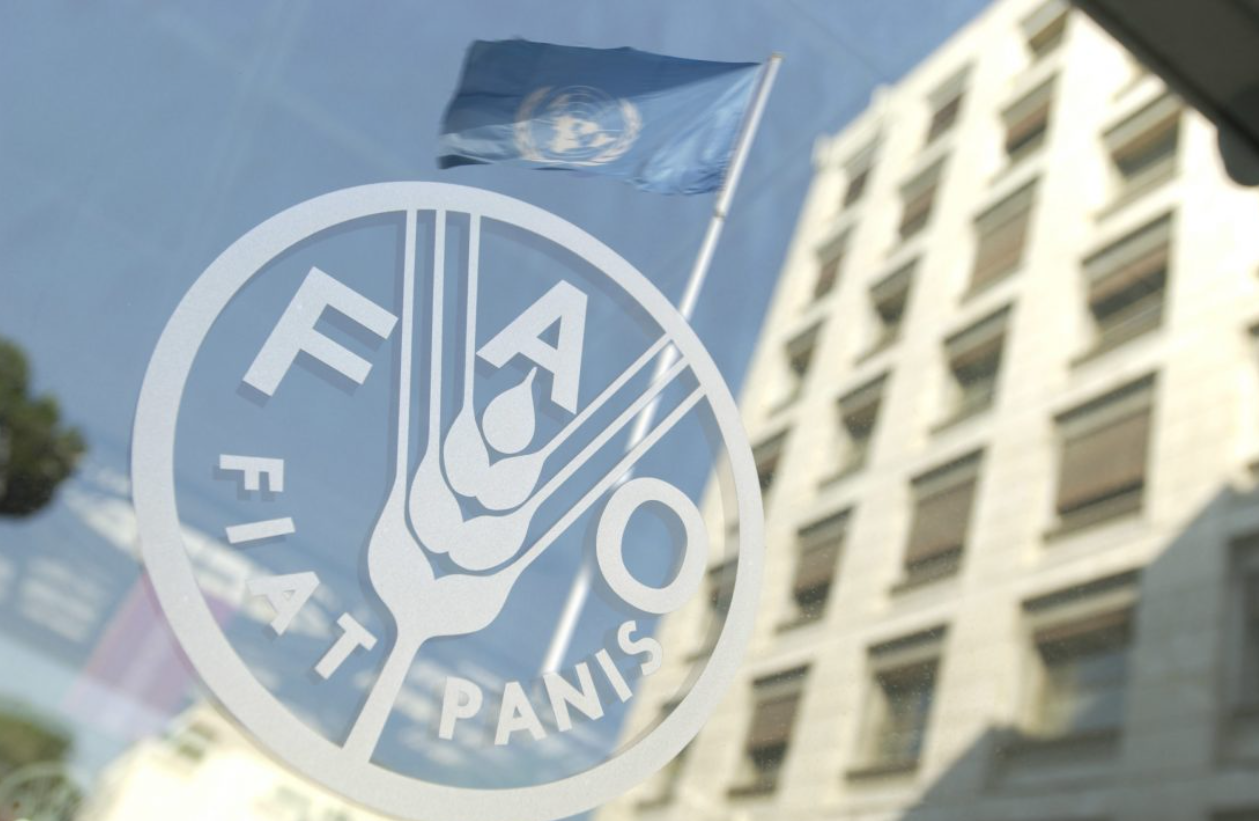 FAO : Le Maroc élu membre du Conseil d’Administration