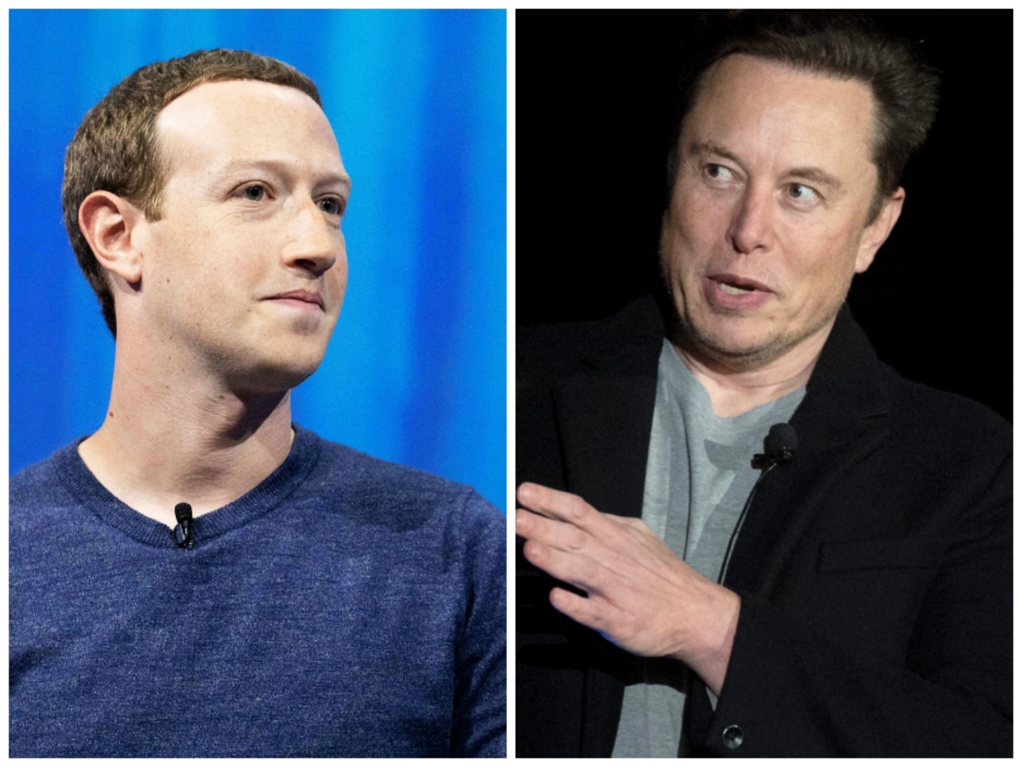 Musk affirme que son combat contre Zuckerberg aura lieu en Italie