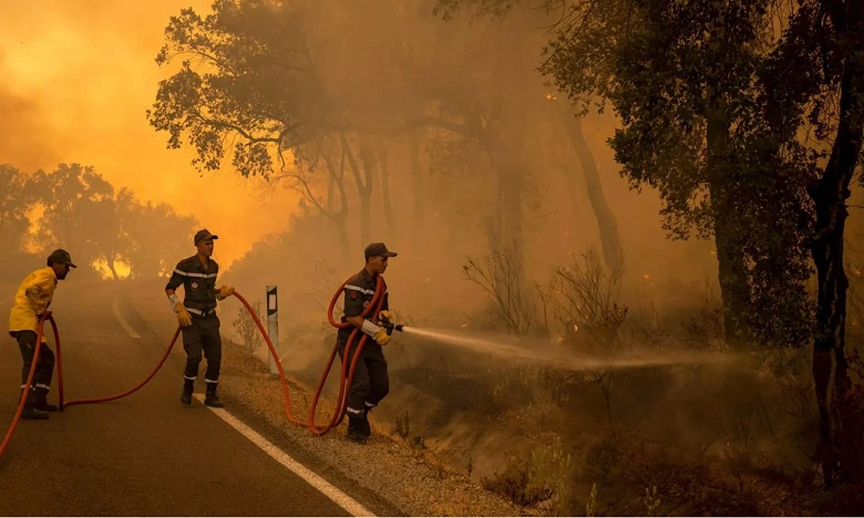 Taza : L'incendie de la forêt de Maghraoua maitrisé à 75%   