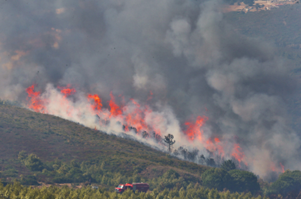 Taza: Les efforts se poursuivent pour circonscrire l'incendie de forêt
