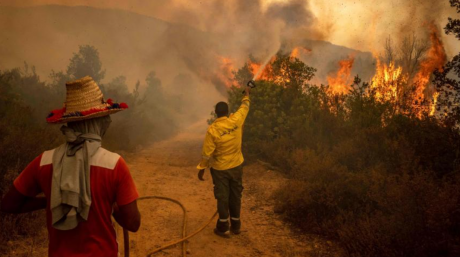 Taounate : Les efforts se poursuivent pour circonscrire deux feux de forêt